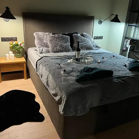 Apartment Cozy In Front Of Manufaktura Lodz (Lodz)